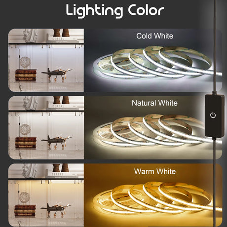 Magnus Locking Glass Curio Display Stand Display Cabinet