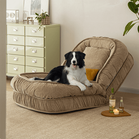 Louann Cozy Folding Sofa Bed-animal